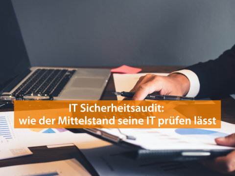 IT Verantwortlicher prüft das Sicherheitsaudit seines Unternehmens.