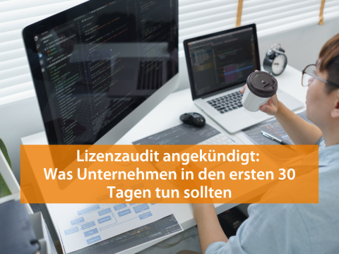 Ein Lizenzbeauftragter überprüft diverse Softwarelizenzen eines Unternehmens